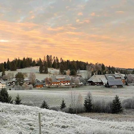 Helle Gemuetliche Ferienwohnung In Schwarzwaldhof Ibach ภายนอก รูปภาพ