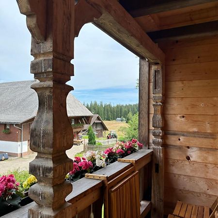 Helle Gemuetliche Ferienwohnung In Schwarzwaldhof Ibach ภายนอก รูปภาพ