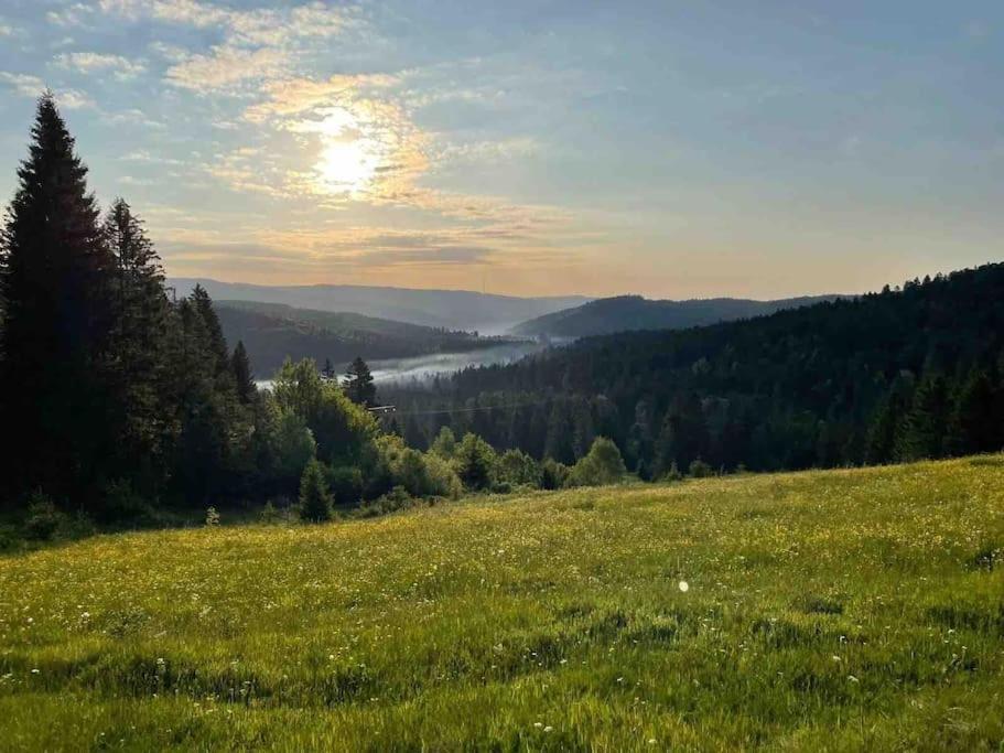 Helle Gemuetliche Ferienwohnung In Schwarzwaldhof Ibach ภายนอก รูปภาพ
