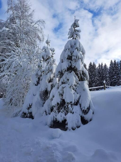 Helle Gemuetliche Ferienwohnung In Schwarzwaldhof Ibach ภายนอก รูปภาพ