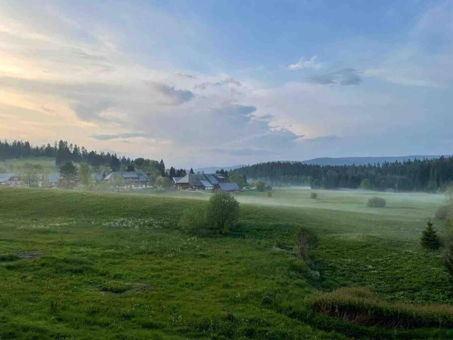 Helle Gemuetliche Ferienwohnung In Schwarzwaldhof Ibach ภายนอก รูปภาพ