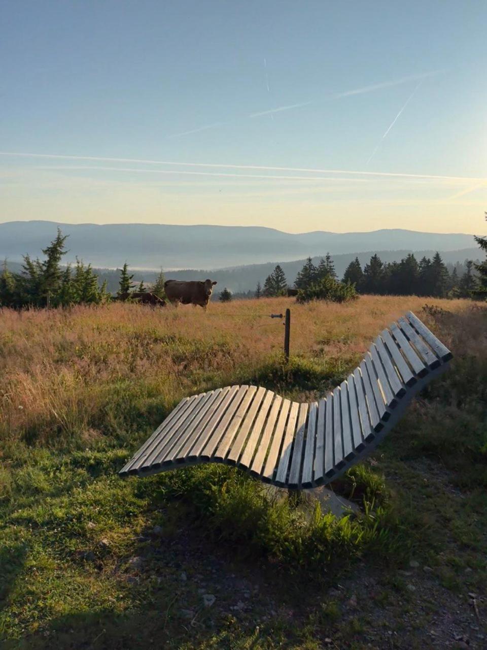 Helle Gemuetliche Ferienwohnung In Schwarzwaldhof Ibach ภายนอก รูปภาพ
